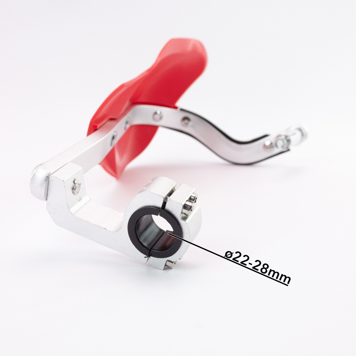 IMG_8746_ копия